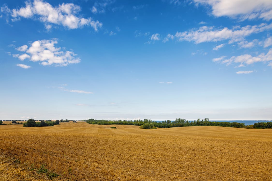 we buy land in texas