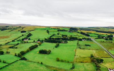 Undeveloped Land: 10 Factors to Consider in Selling Raw Land