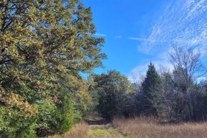 Acres Unrestricted in Van Zandt County