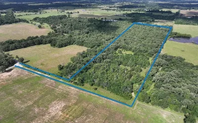The Gateway to East Texas: 20 Acres of Unrestricted Opportunity